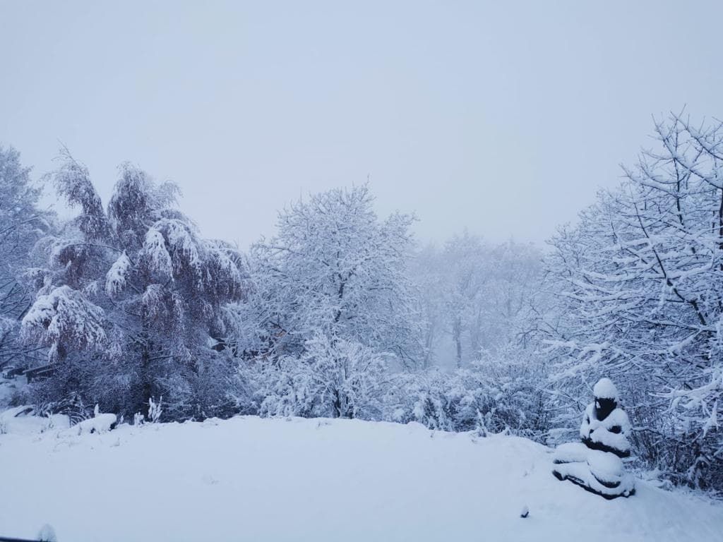 December 2021 · Intuitive Guidance & Practice