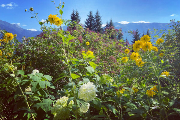 flowers
