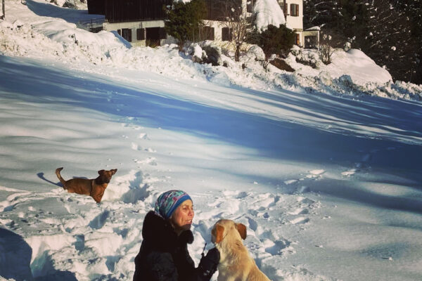 sat sarbat and dogs