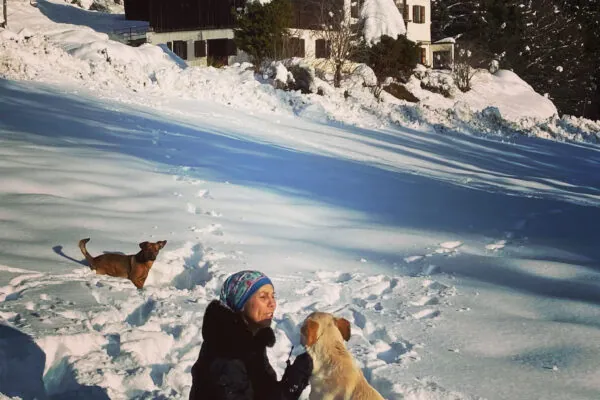 sat sarbat and dogs