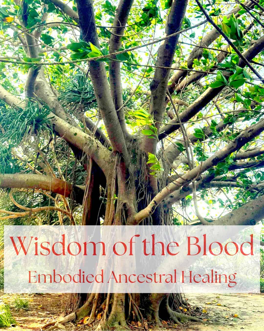 Wisdom of the Blood Retreat